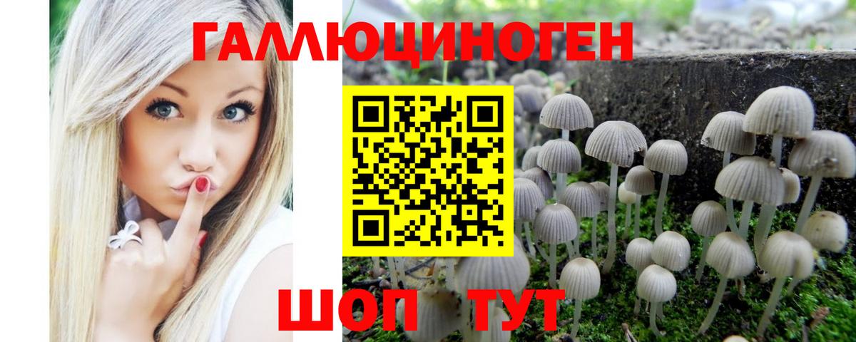 Галлюциногенные грибы мицелий  Вход с VPN  Галлюциногенные грибы прущие грибы  Ухта 